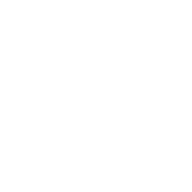 Car Penguin